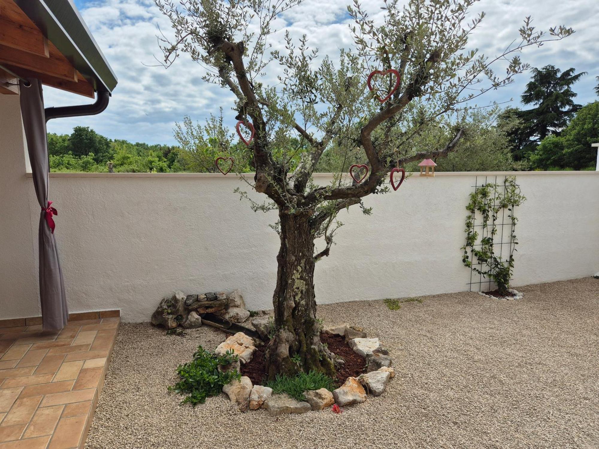 Apartment Vinja Porec - Privat Garden - Whirlpool Εξωτερικό φωτογραφία