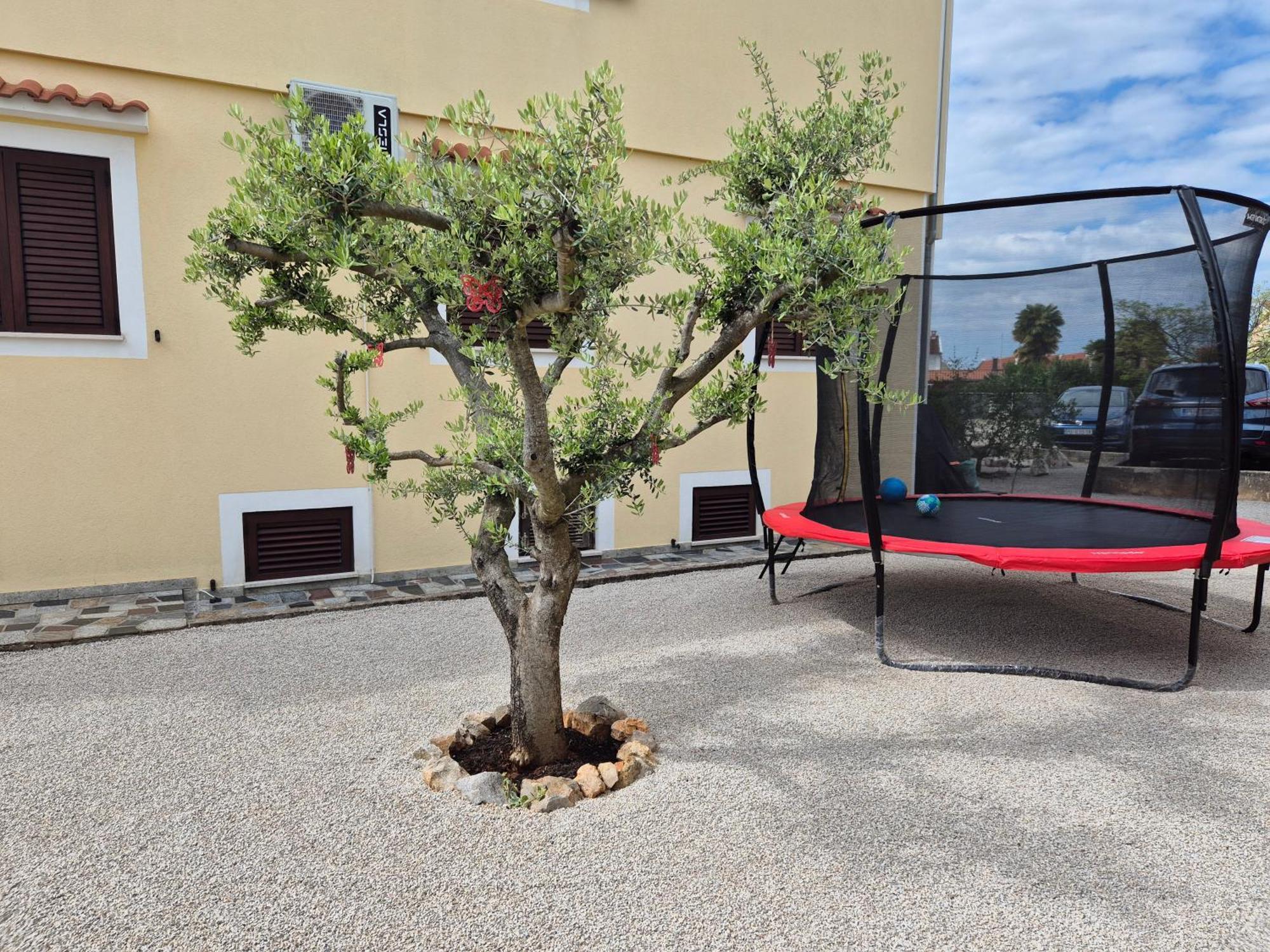 Apartment Vinja Porec - Privat Garden - Whirlpool Εξωτερικό φωτογραφία